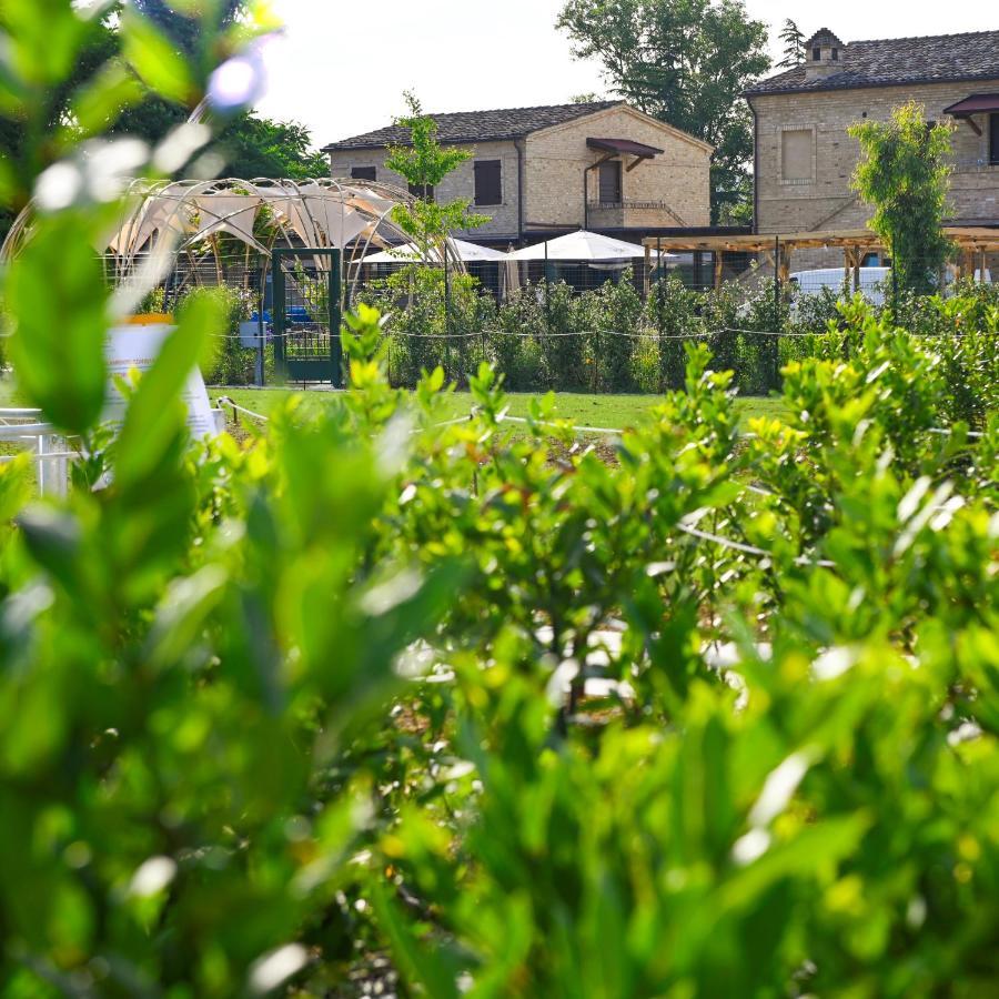 Moretti Village - B&B Чивитанова-Марке Экстерьер фото